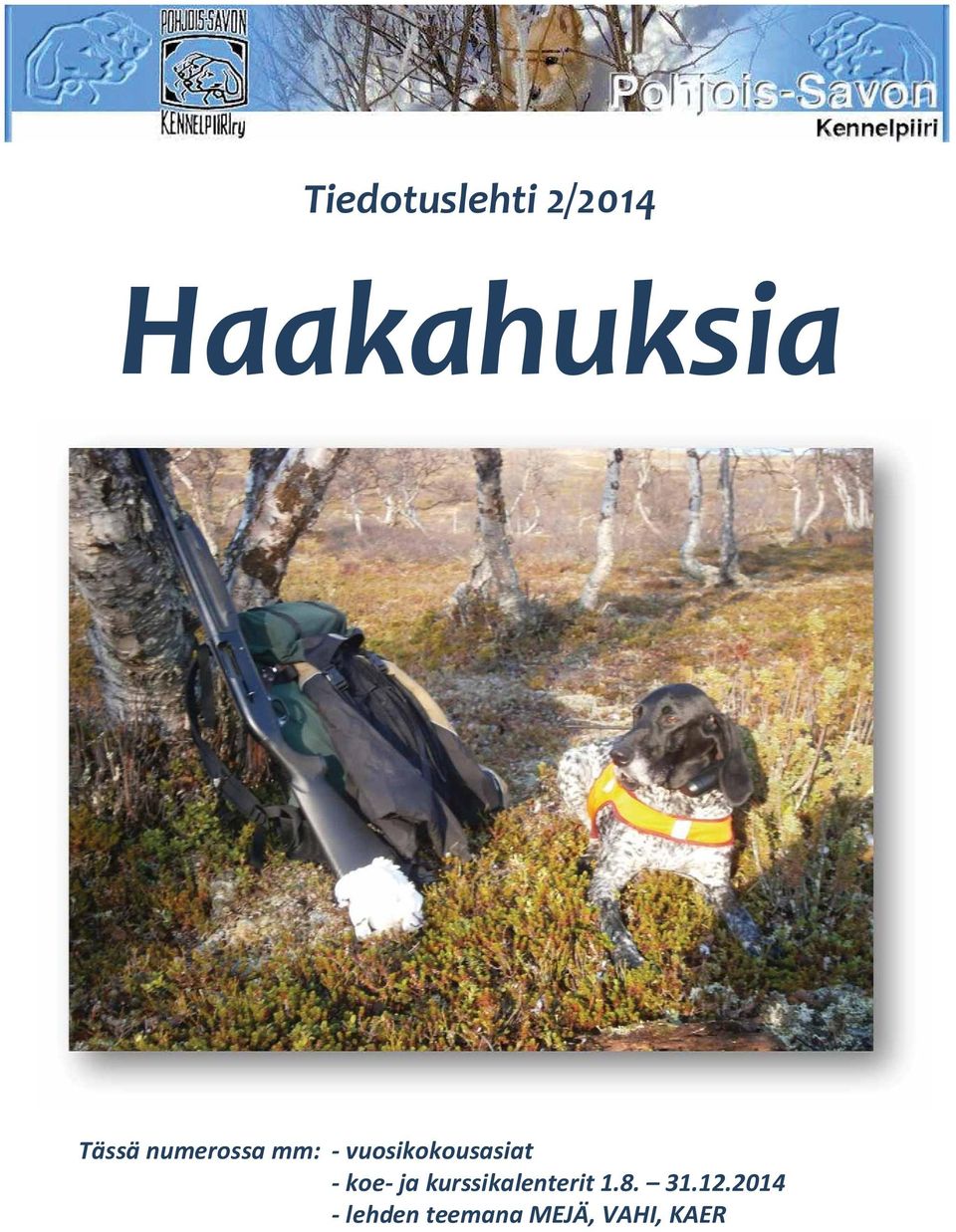 vuosikokousasiat - koe- ja