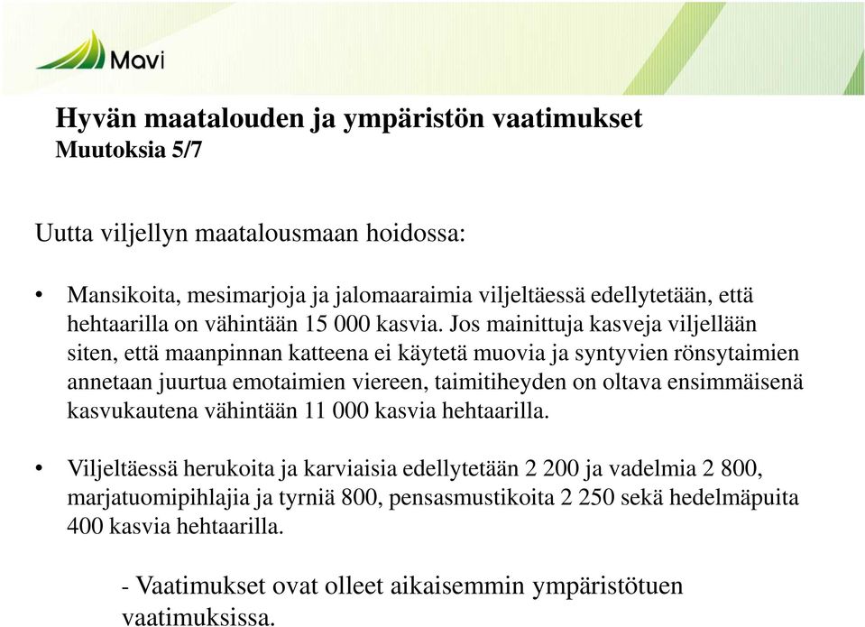 Jos mainittuja kasveja viljellään siten, että maanpinnan katteena ei käytetä muovia ja syntyvien rönsytaimien annetaan juurtua emotaimien viereen, taimitiheyden on oltava