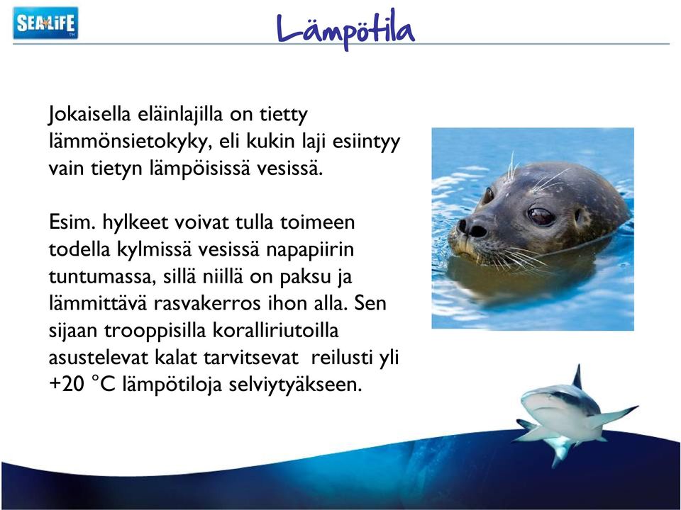hylkeet voivat tulla toimeen todella kylmissä vesissä napapiirin tuntumassa, sillä niillä on