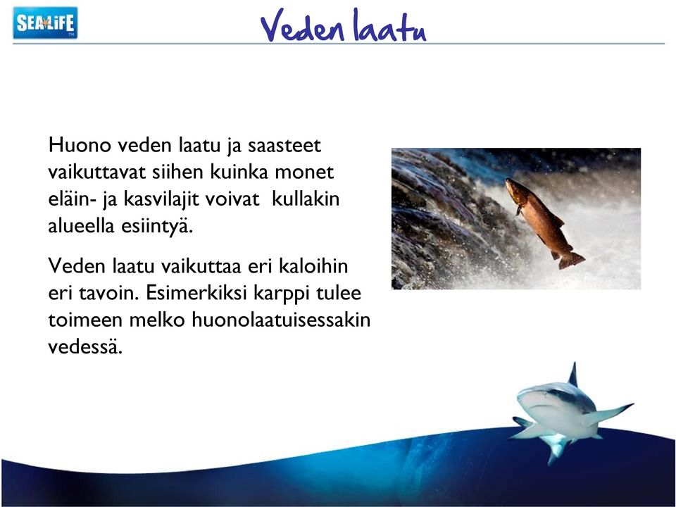 esiintyä. Veden laatu vaikuttaa eri kaloihin eri tavoin.