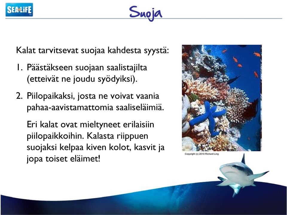 Piilopaikaksi, josta ne voivat vaania pahaa-aavistamattomia saaliseläimiä.