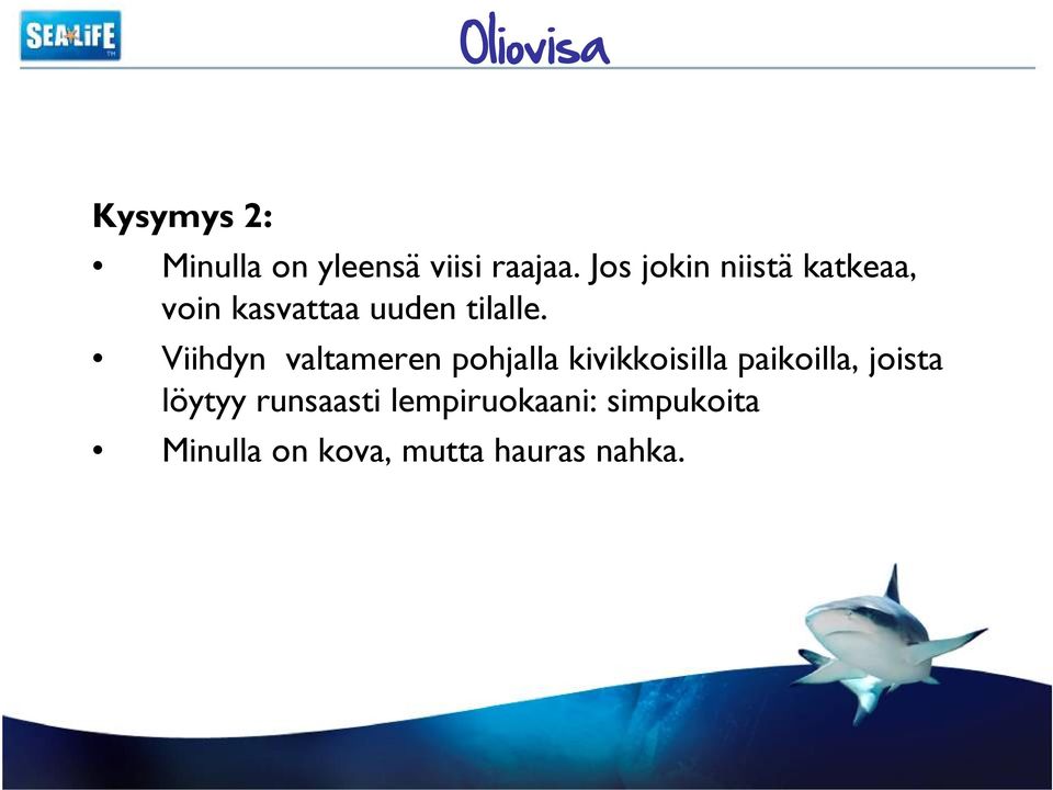 Viihdyn valtameren pohjalla kivikkoisilla paikoilla, joista