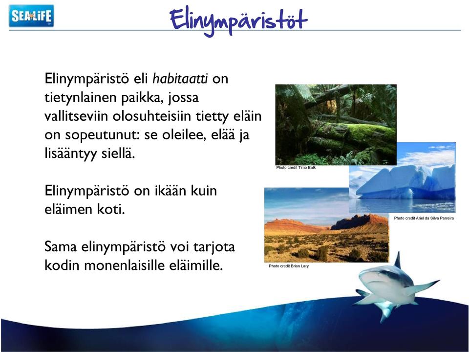 Photo credit Timo Balk Elinympäristö on ikään kuin eläimen koti.