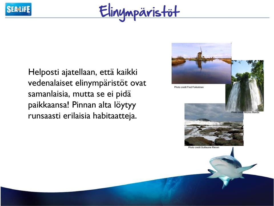 Pinnan alta löytyy runsaasti erilaisia habitaatteja.