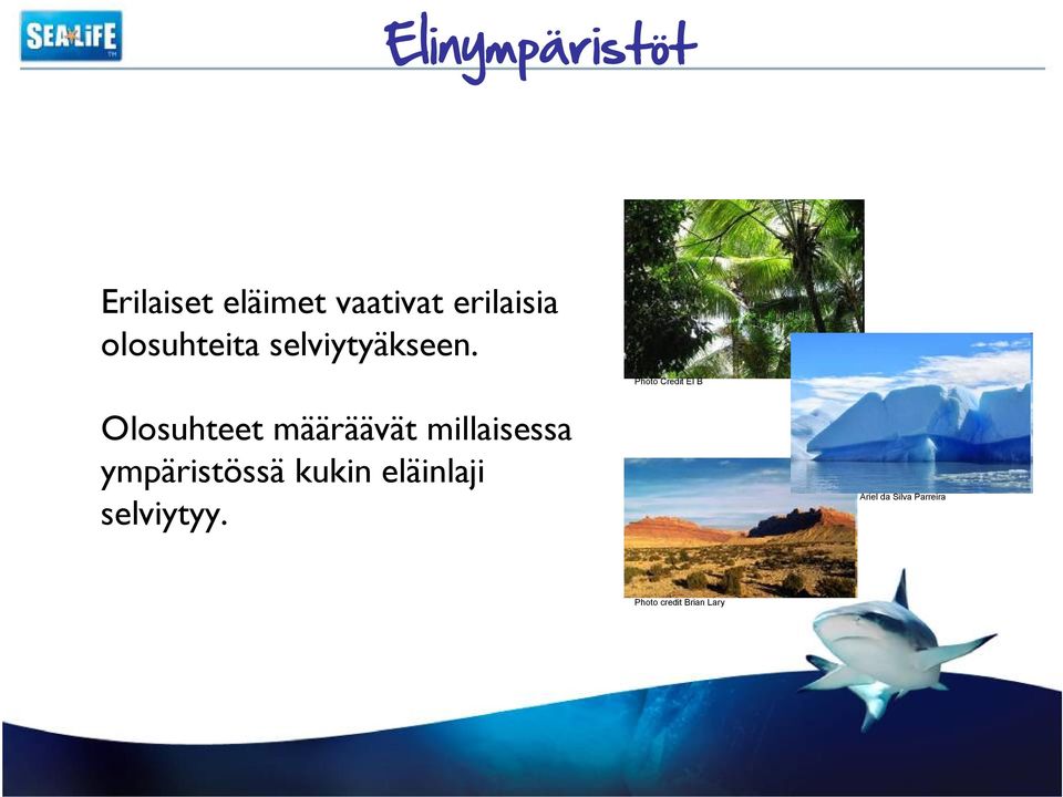 Photo Credit El B Olosuhteet määräävät millaisessa
