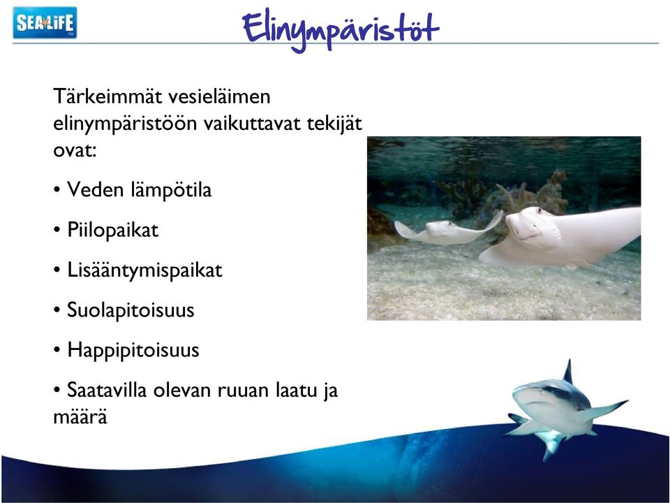 lämpötila Piilopaikat Lisääntymispaikat
