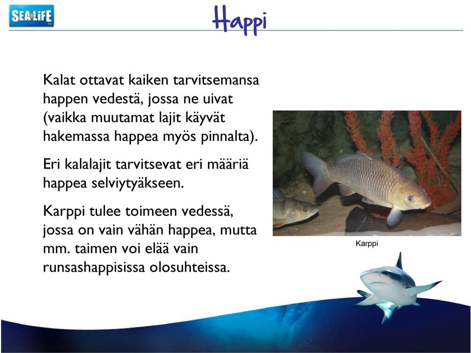 Eri kalalajit tarvitsevat eri määriä happea selviytyäkseen.