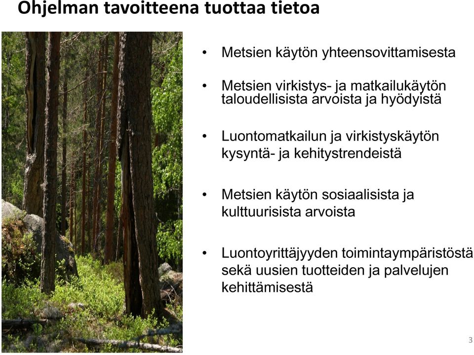 kysyntä- ja kehitystrendeistä Metsien käytön sosiaalisista ja kulttuurisista arvoista