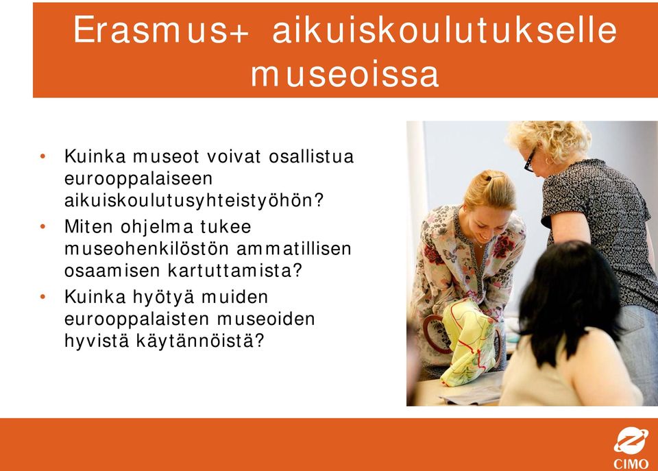 Miten ohjelma tukee museohenkilöstön ammatillisen osaamisen