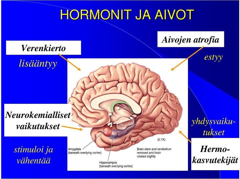 Neurokemialliset vaikutukset