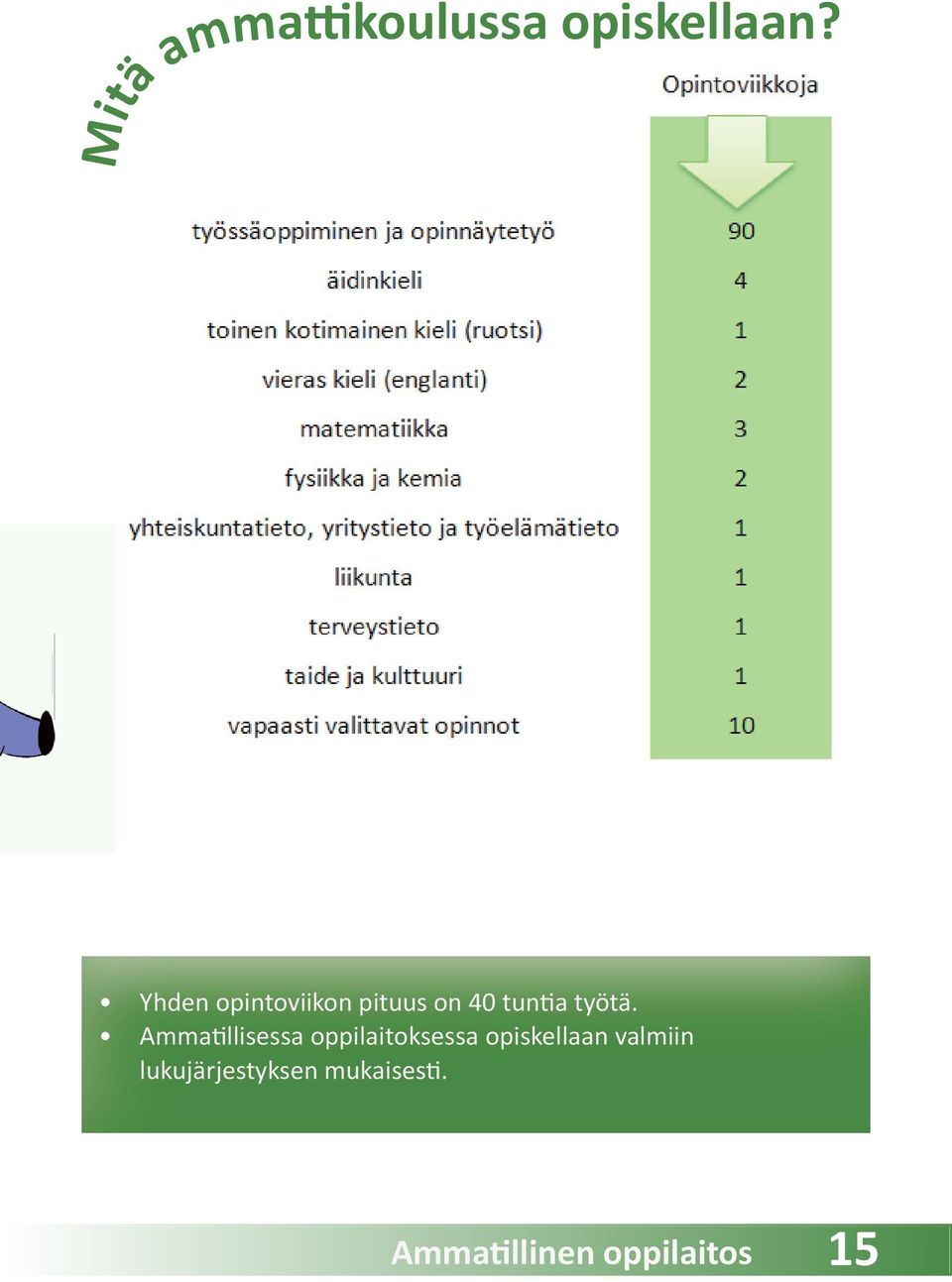 Ammatillisessa oppilaitoksessa opiskellaan