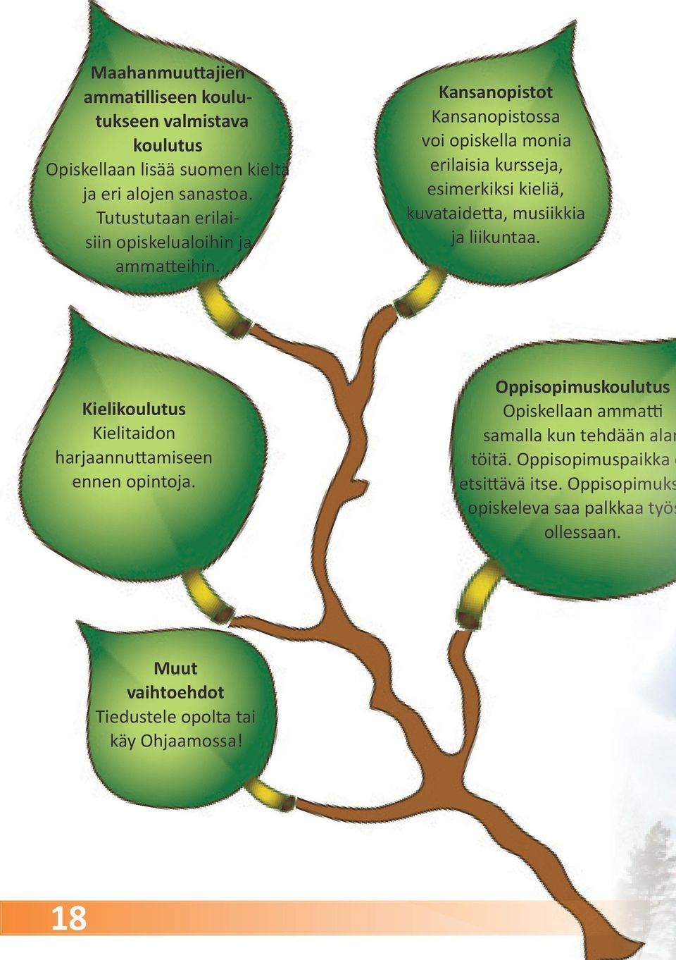 Kansanopistot Kansanopistossa voi opiskella monia erilaisia kursseja, esimerkiksi kieliä, kuvataidetta, musiikkia ja liikuntaa.