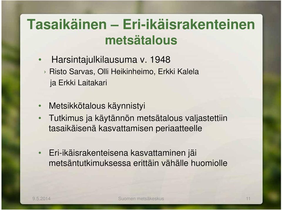 käynnistyi Tutkimus ja käytännön metsätalous valjastettiin tasaikäisenä kasvattamisen