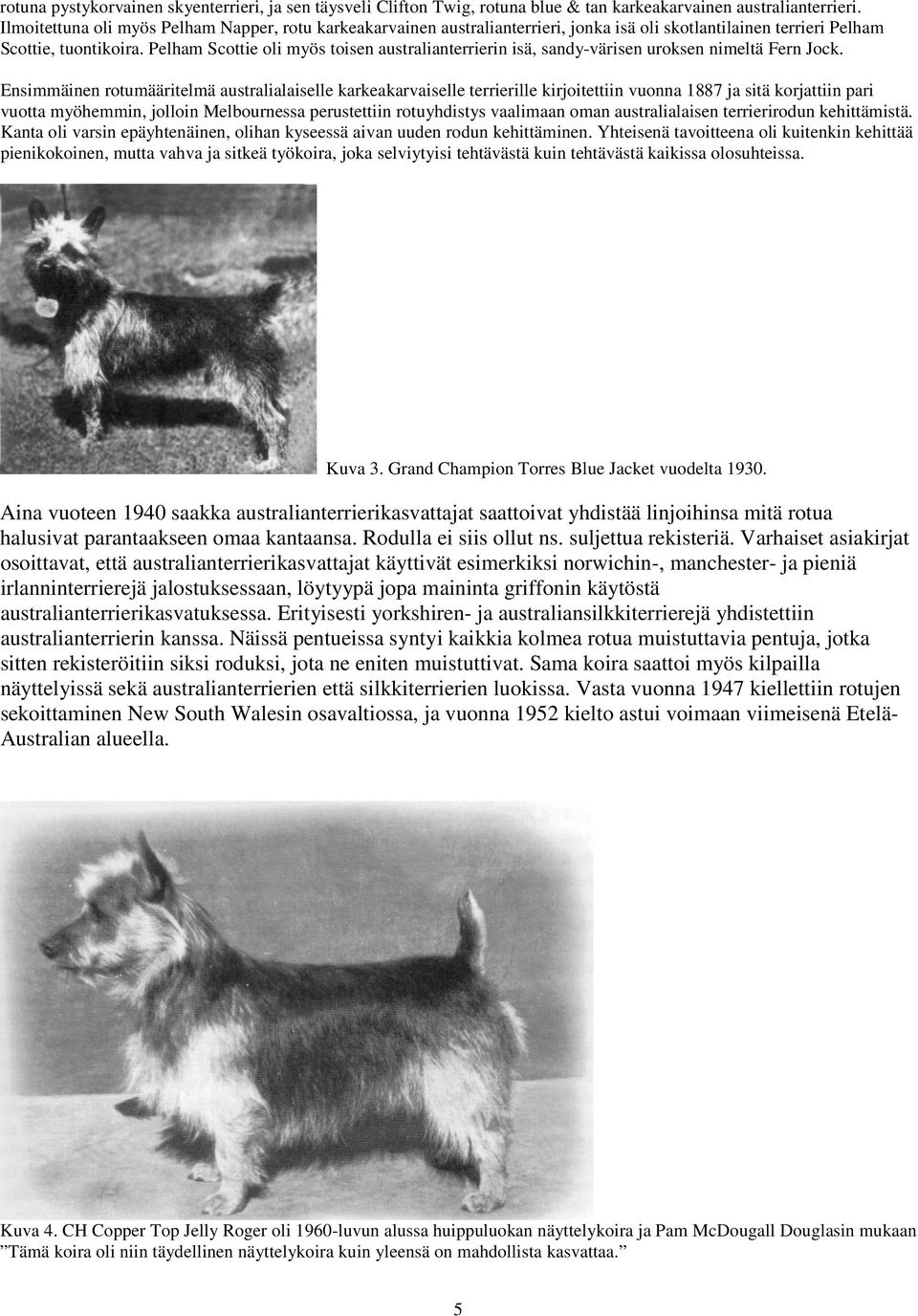 Pelham Scottie oli myös toisen australianterrierin isä, sandy-värisen uroksen nimeltä Fern Jock.