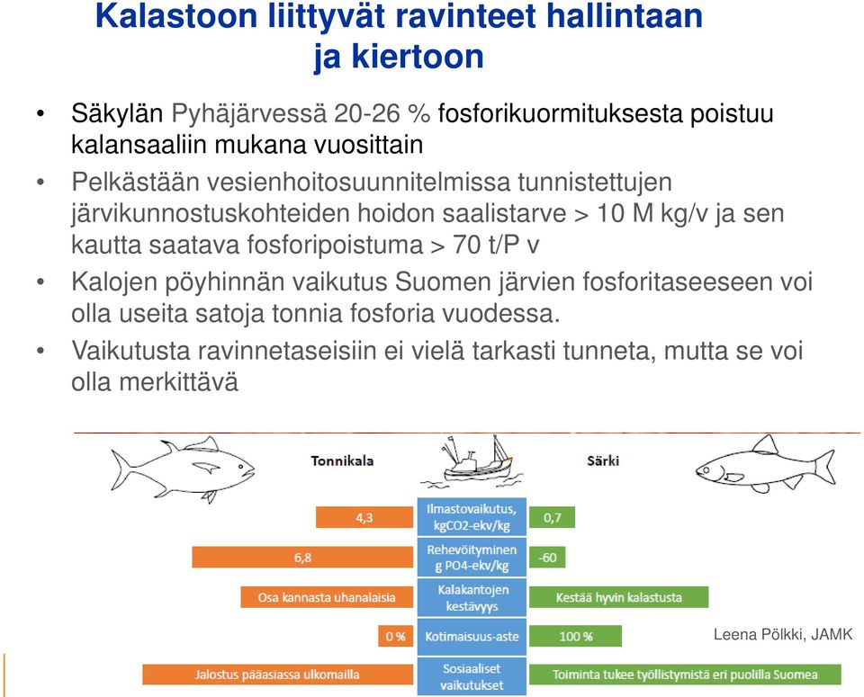 saatava fosforipoistuma > 70 t/p v Kalojen pöyhinnän vaikutus Suomen järvien fosforitaseeseen voi olla useita satoja tonnia