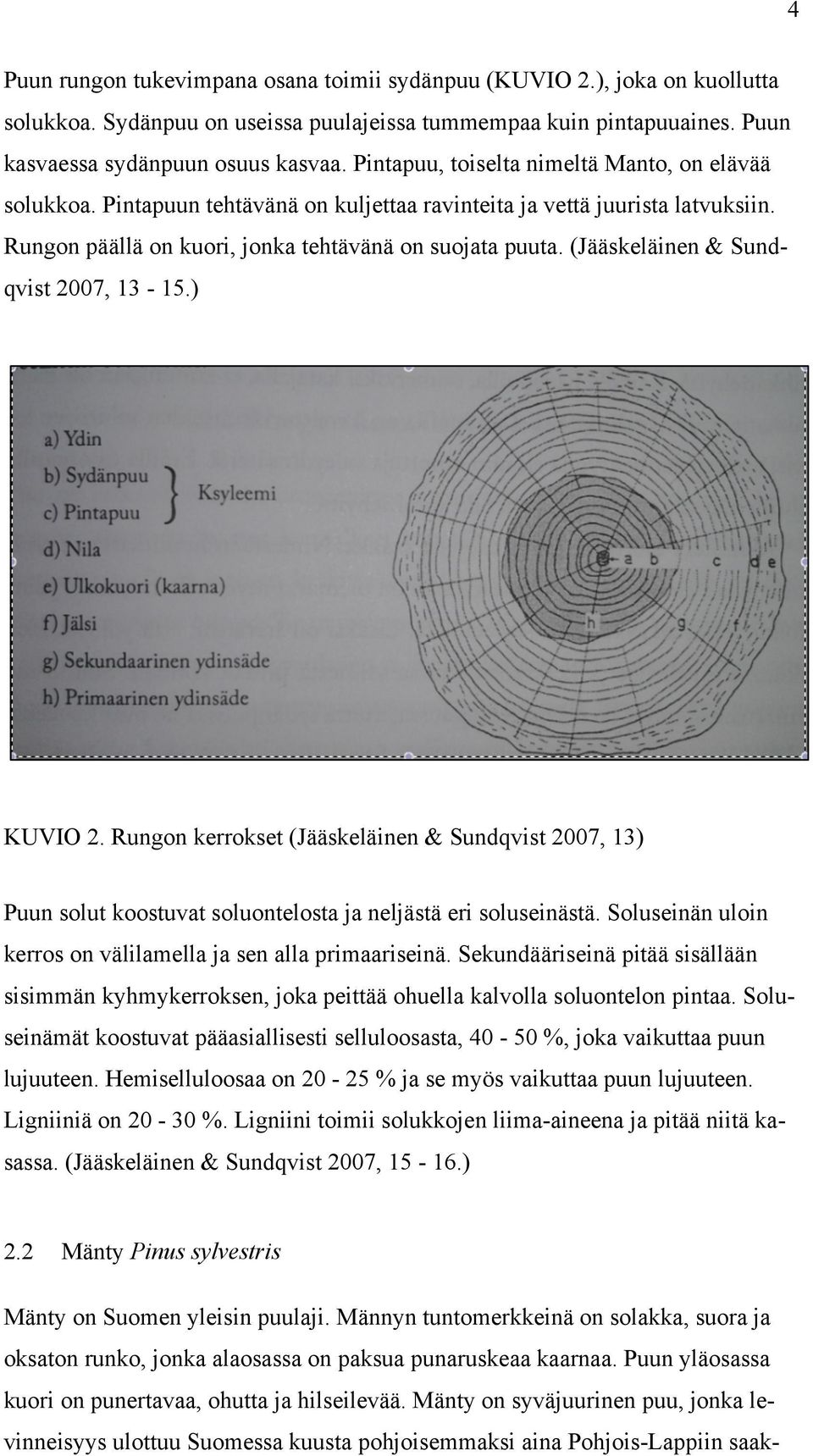 (Jääskeläinen & Sundqvist 2007, 13-15.) KUVIO 2. Rungon kerrokset (Jääskeläinen & Sundqvist 2007, 13) Puun solut koostuvat soluontelosta ja neljästä eri soluseinästä.