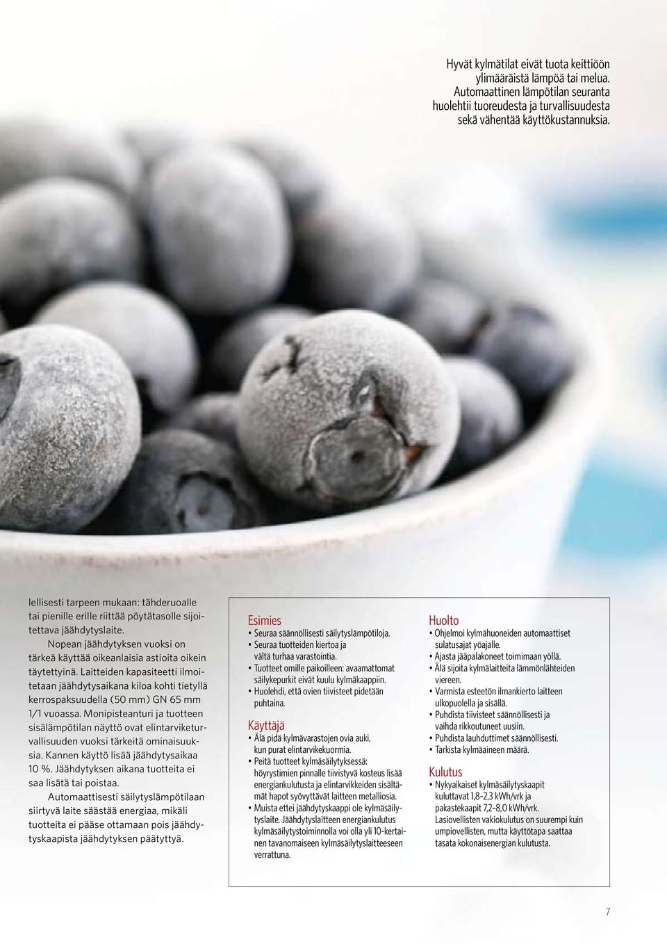 Laitteiden kapasiteetti ilmoitetaan jäähdytysaikana kiloa kohti tietyllä kerrospaksuudella (50 mm) GN 65 mm 1/1 vuoassa.