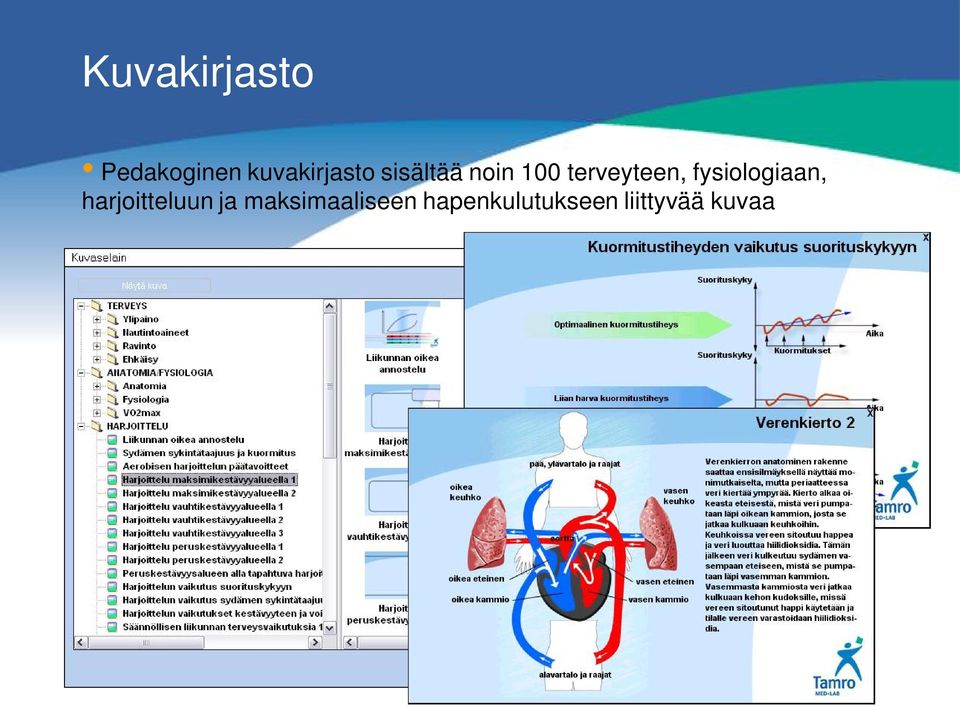 terveyteen, fysiologiaan,