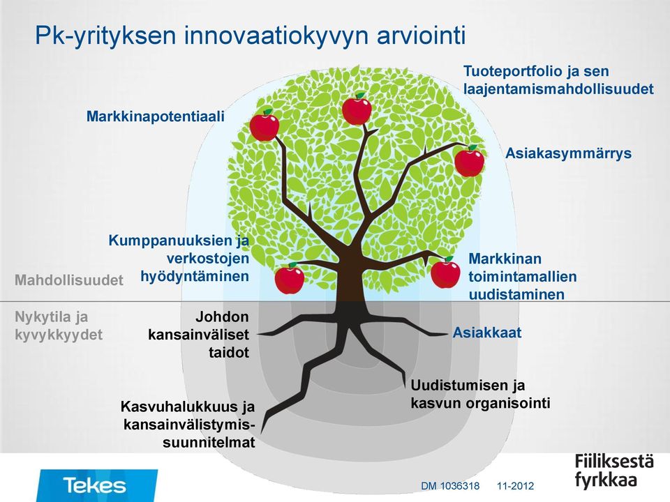 hyödyntäminen Nykytila ja kyvykkyydet Johdon kansainväliset taidot Kasvuhalukkuus ja