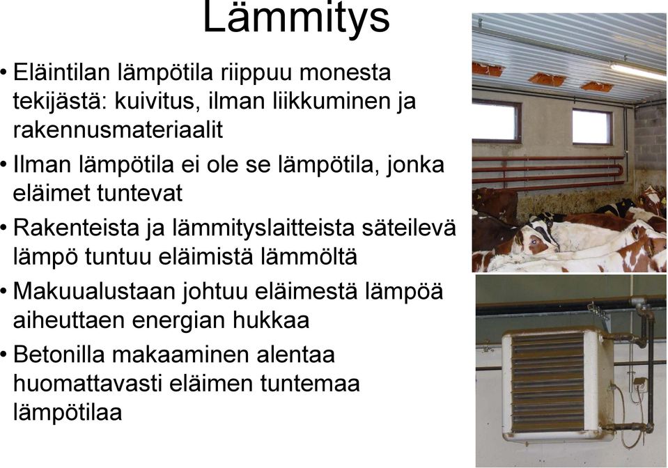 lämmityslaitteista säteilevä lämpö tuntuu eläimistä lämmöltä Makuualustaan johtuu eläimestä