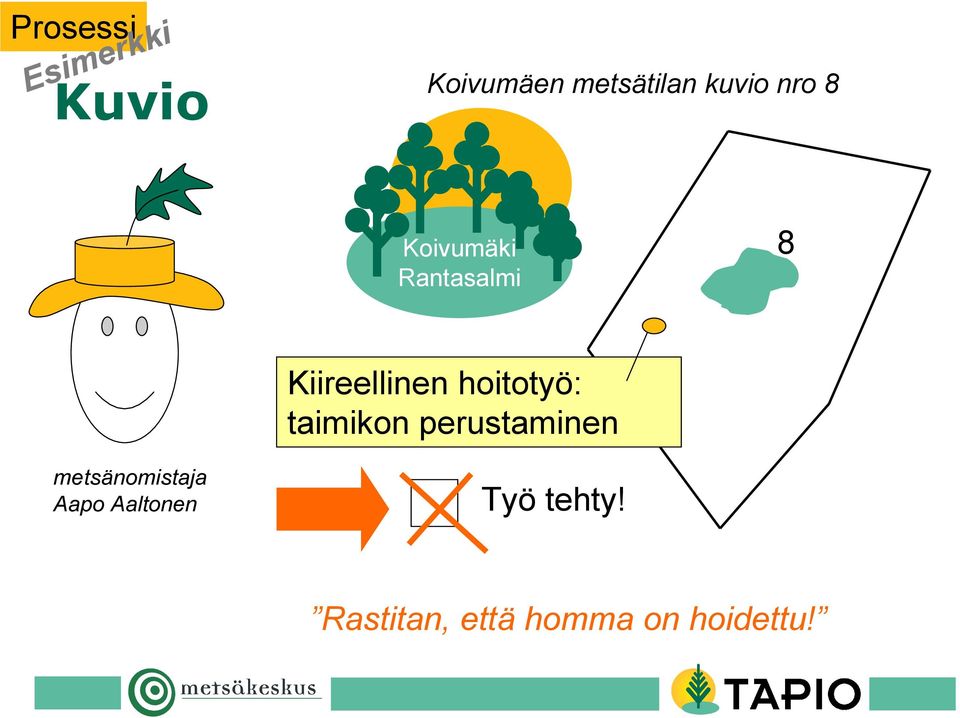 hoitotyö: taimikon perustaminen metsänomistaja