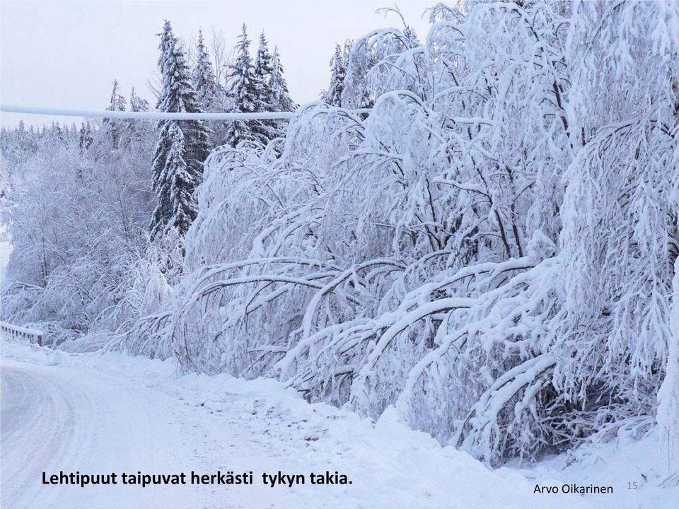 herkästi tykyn