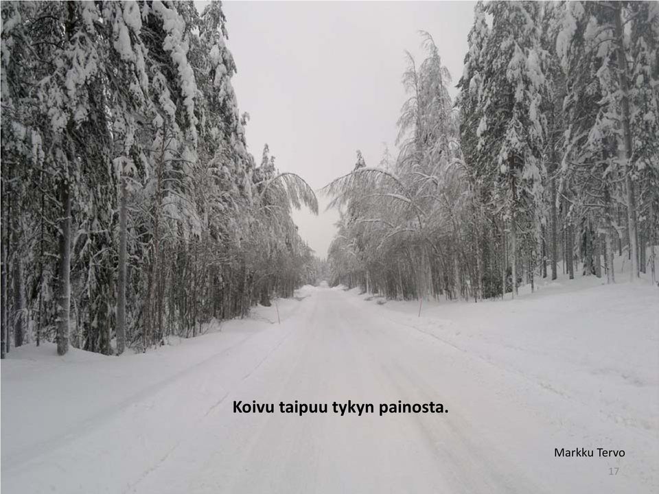 tykyn