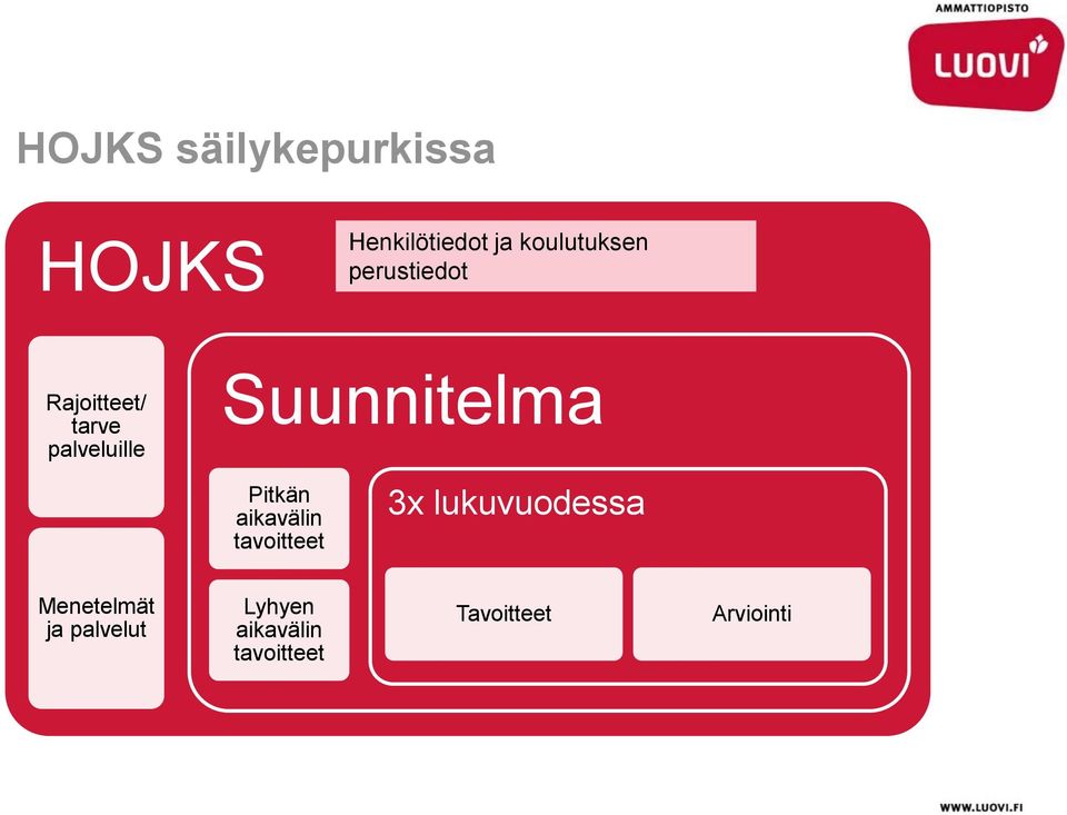 Pitkän aikavälin tavoitteet 3x lukuvuodessa Menetelmät