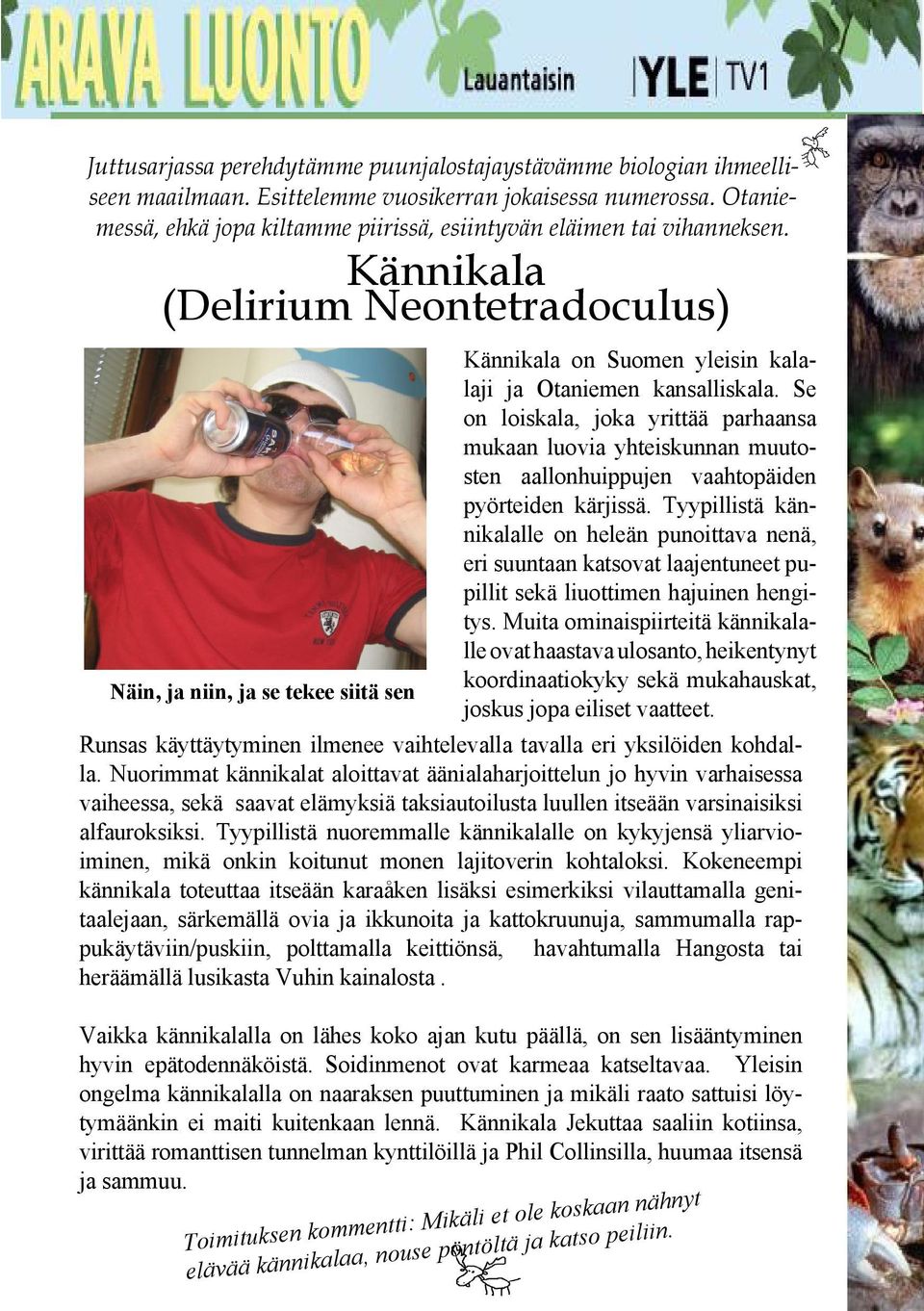 Iso saalis perseestä mukaan iso kalu