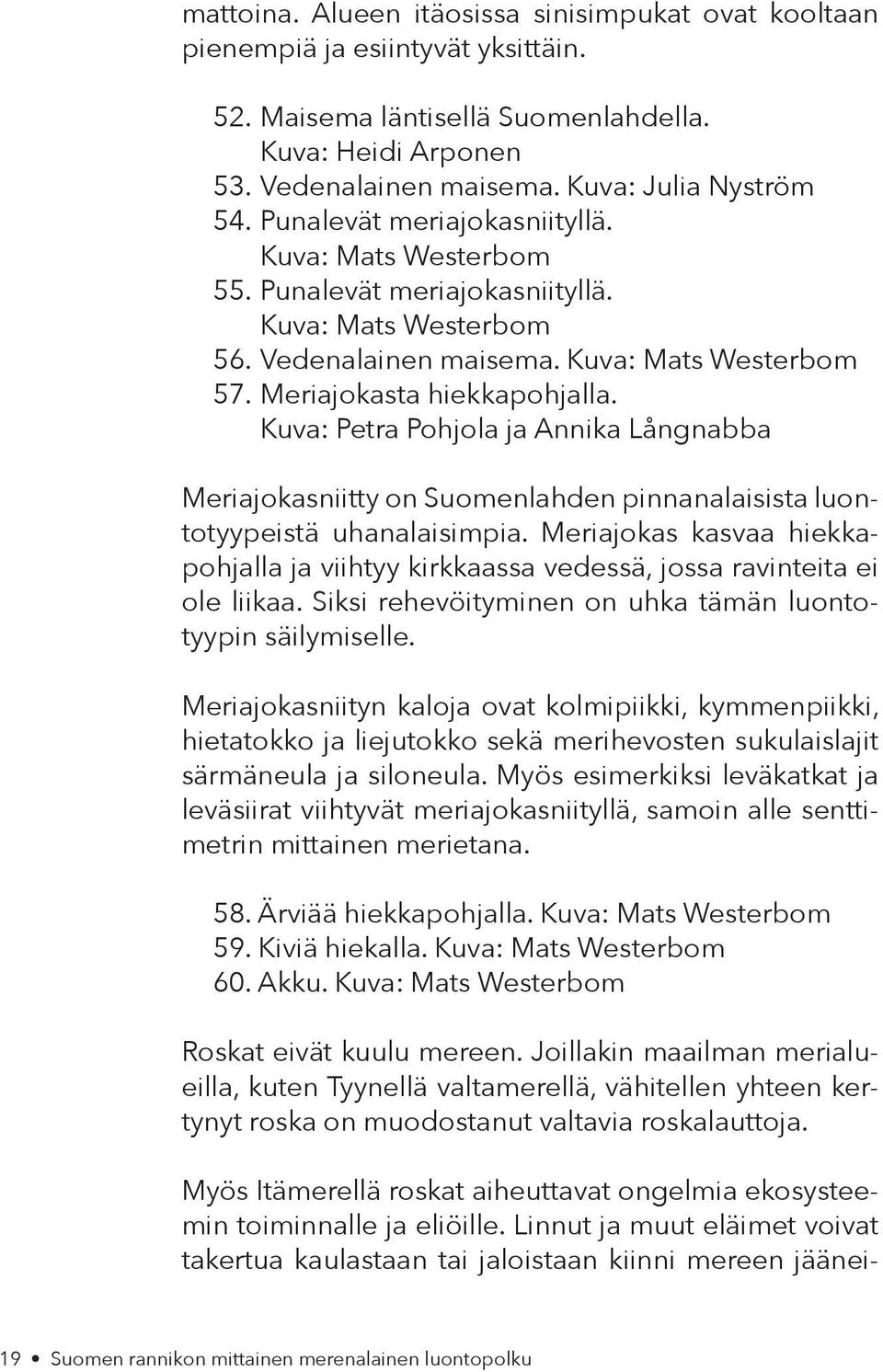 Kuva: Petra Pohjola ja Annika Långnabba Meriajokasniitty on Suomenlahden pinnanalaisista luontotyypeistä uhanalaisimpia.