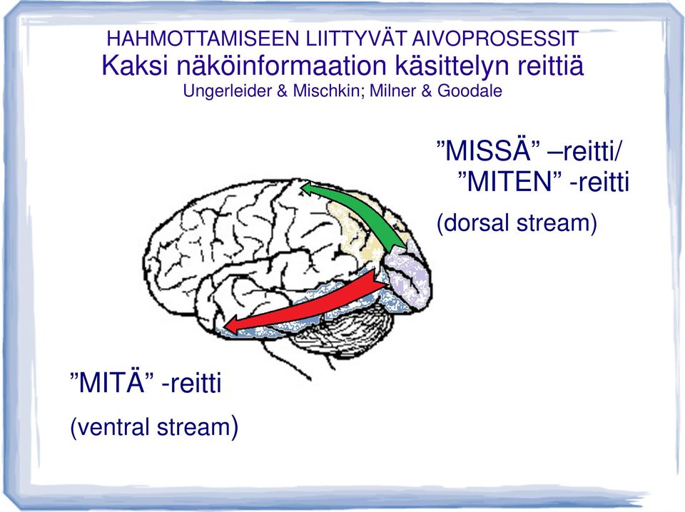 & Mischkin; Milner & Goodale MISSÄ reitti/ MITEN