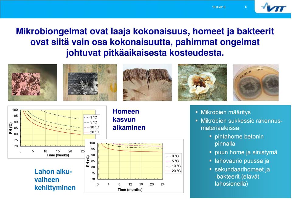 t RH (% %) 100 95 90 85 80 75 70 1 C 5 C 10 C 20 C 100 95 0 5 10 15 20 25 30 Time (weeks) 90 Lahon alkuvaiheen kehittyminen RH (%) 85 80 75