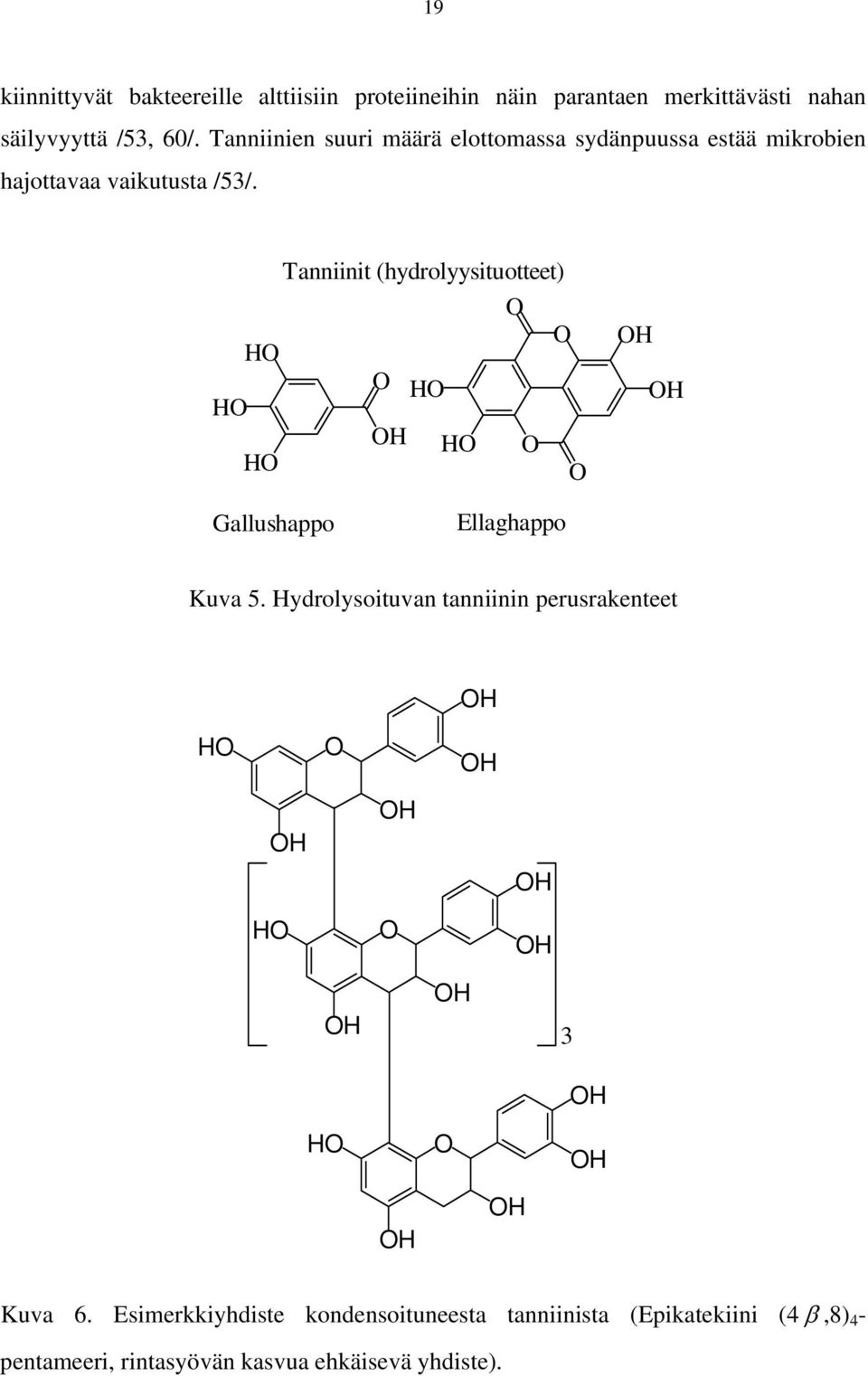 Tanniinit (hydrolyysituotteet) Gallushappo Ellaghappo Kuva 5.