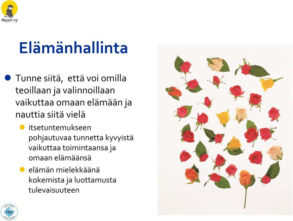 kehittyminen johtuvat ihmisen omasta käyttäytymisestä ja toiminnasta Tunne asioiden ulkoisesta hallinnasta Vaikutusvaltaiset muut,