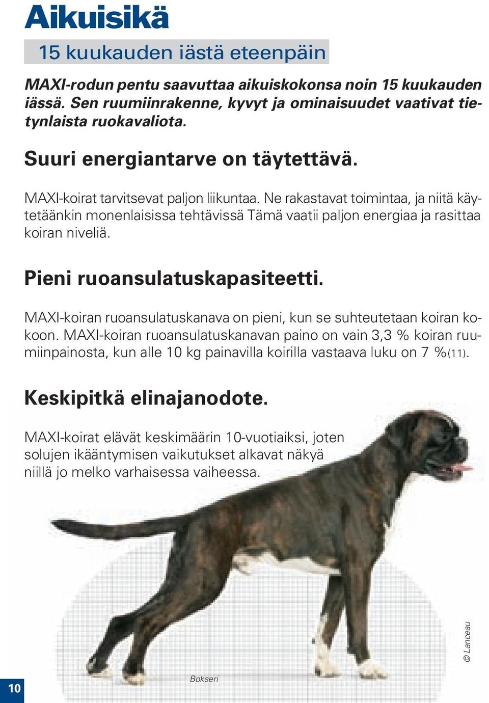 Ne rakastavat toimintaa, ja niitä käytetäänkin monenlaisissa tehtävissä Tämä vaatii paljon energiaa ja rasittaa koiran niveliä. Pieni ruoansulatuskapasiteetti.