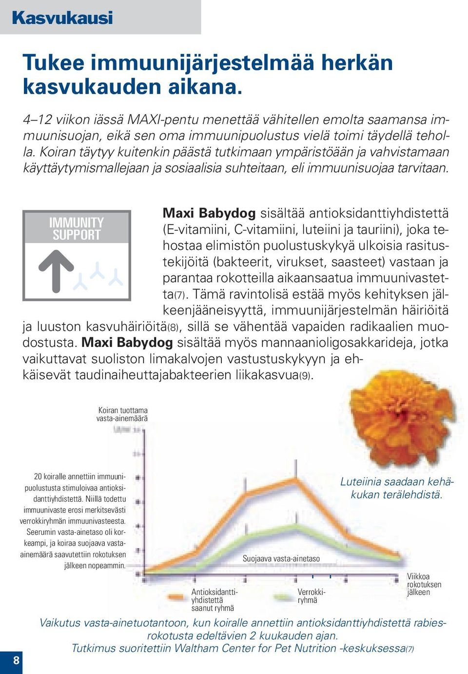 Koiran täytyy kuitenkin päästä tutkimaan ympäristöään ja vahvistamaan käyttäytymismallejaan ja sosiaalisia suhteitaan, eli immuunisuojaa tarvitaan.