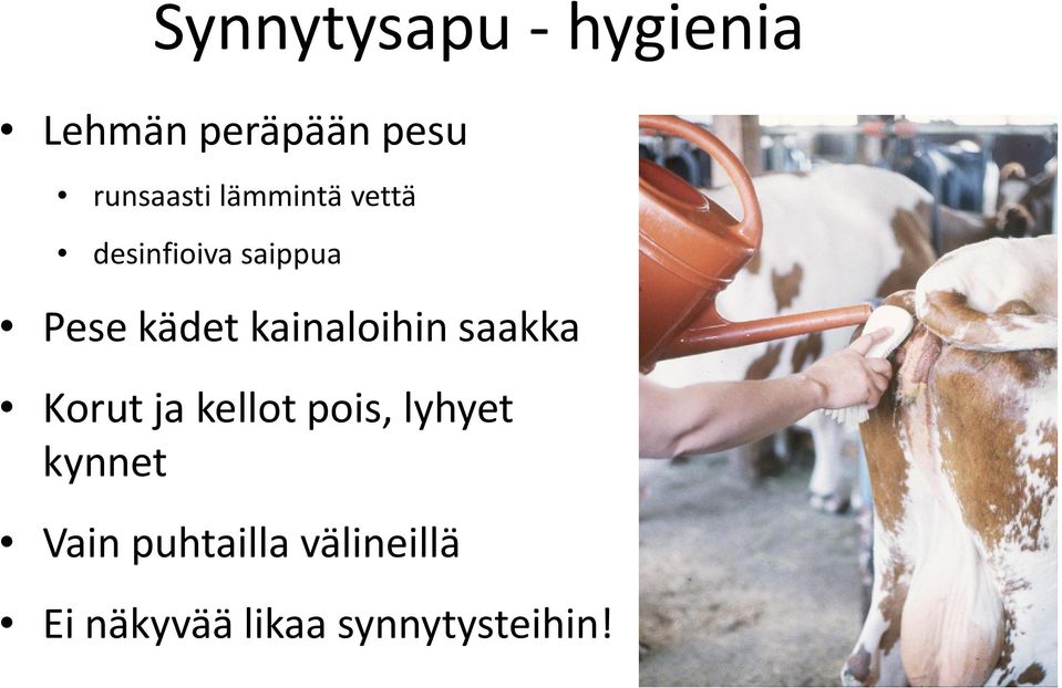 kainaloihin saakka Korut ja kellot pois, lyhyet