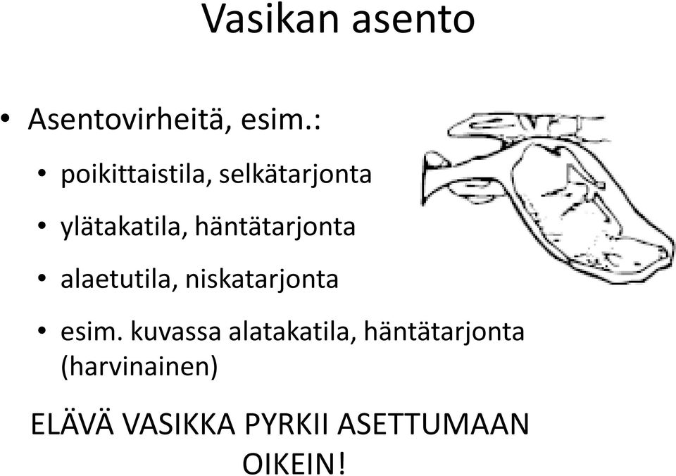 häntätarjonta alaetutila, niskatarjonta esim.