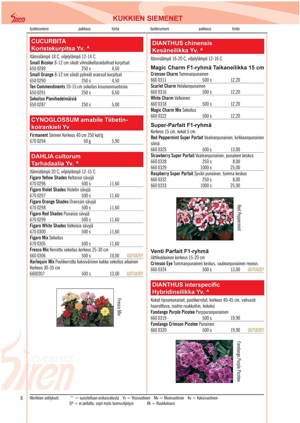 Ten Commendments 10-15 cm sekoitus kruununmuotoisia 650 0291 250 s 6,50 Sekoitus Pienihedelmäisiä 650 0287 250 s 5,00 CYNOGLOSSUM amabile Tiibetinkoirankieli Yv Firmanent Sininen Korkeus 40 cm 250