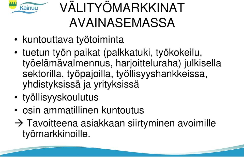 sektorilla, työpajoilla, työllisyyshankkeissa, yhdistyksissä ja yrityksissä