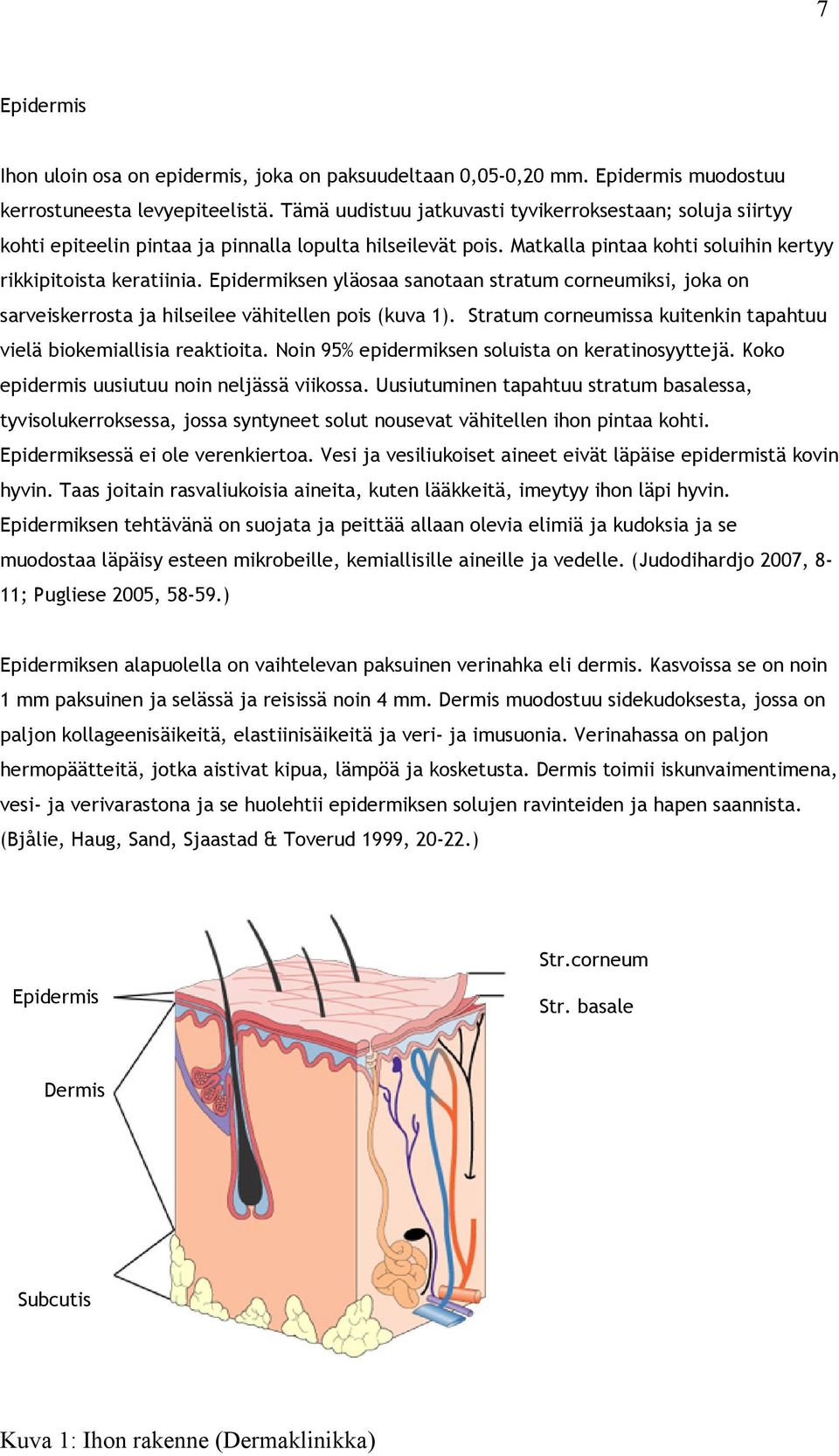 Epidermiksen yläosaa sanotaan stratum corneumiksi, joka on sarveiskerrosta ja hilseilee vähitellen pois (kuva 1). Stratum corneumissa kuitenkin tapahtuu vielä biokemiallisia reaktioita.