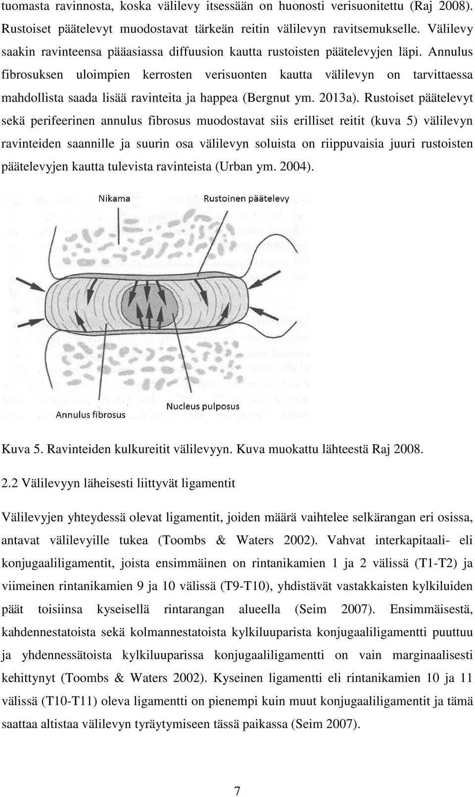 Annulus fibrosuksen uloimpien kerrosten verisuonten kautta välilevyn on tarvittaessa mahdollista saada lisää ravinteita ja happea (Bergnut ym. 2013a).