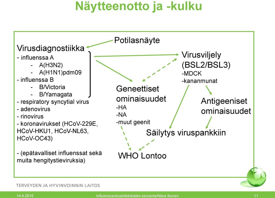 influenssat sekä muita hengitystieviruksia) Potilasnäyte Geneettiset ominaisuudet -HA -NA -muut geenit WHO Lontoo Virusviljely