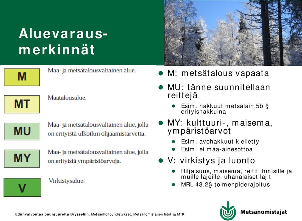 avohakkuut kielletty Esim.