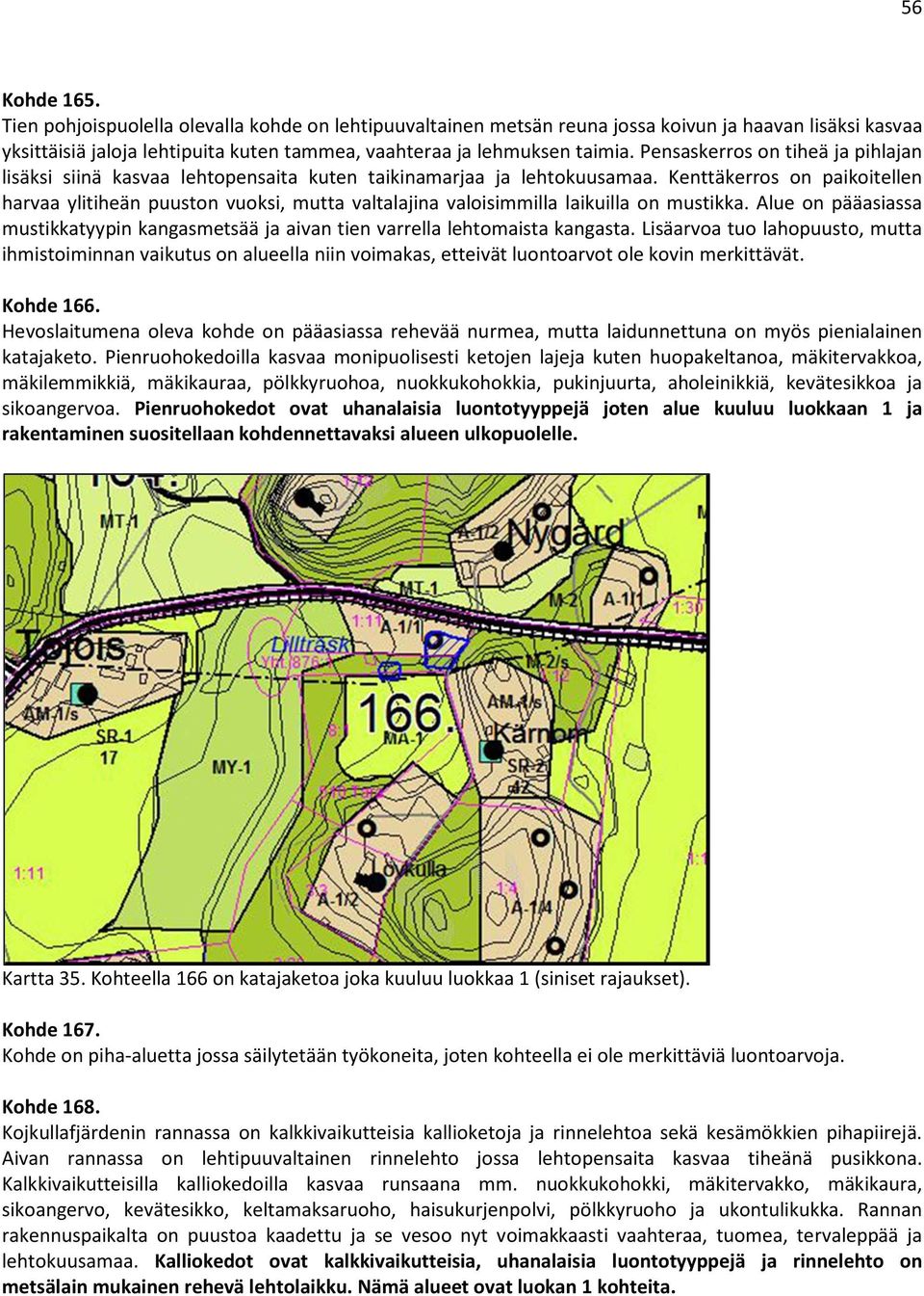 Kenttäkerros on paikoitellen harvaa ylitiheän puuston vuoksi, mutta valtalajina valoisimmilla laikuilla on mustikka.