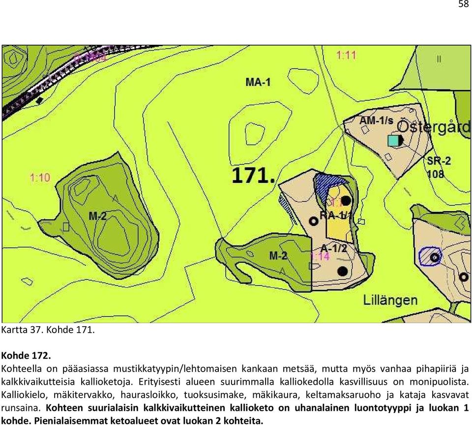 kallioketoja. Erityisesti alueen suurimmalla kalliokedolla kasvillisuus on monipuolista.