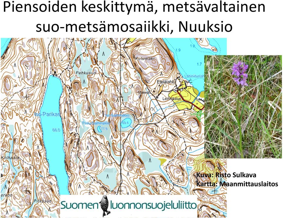 suo-metsämosaiikki, Nuuksio