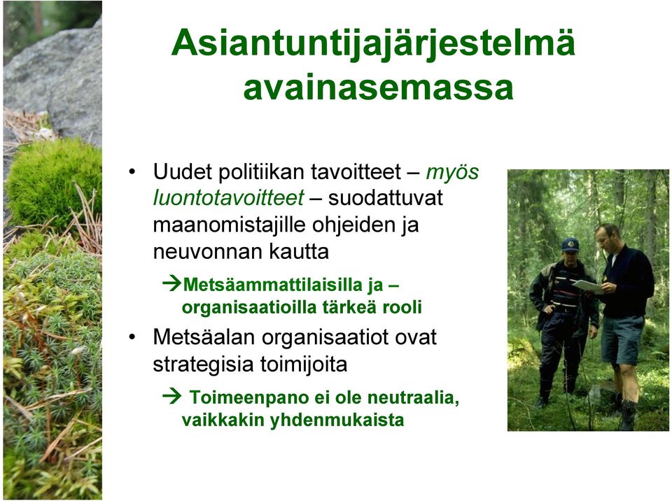 Metsäammattilaisilla ja organisaatioilla tärkeä rooli Metsäalan organisaatiot