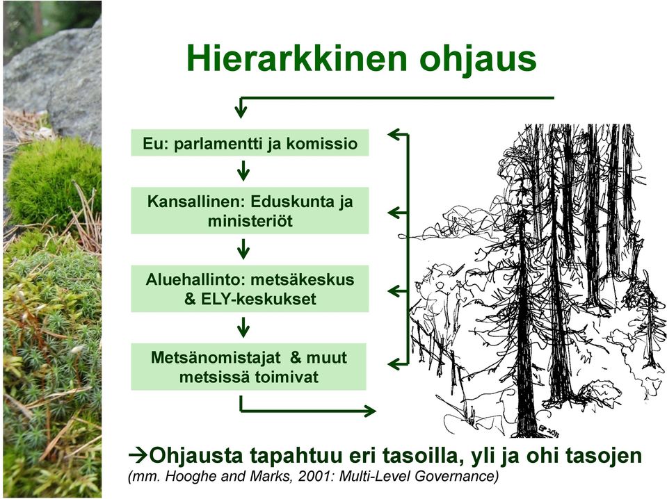 Metsänomistajat & muut metsissä toimivat à Ohjausta tapahtuu eri