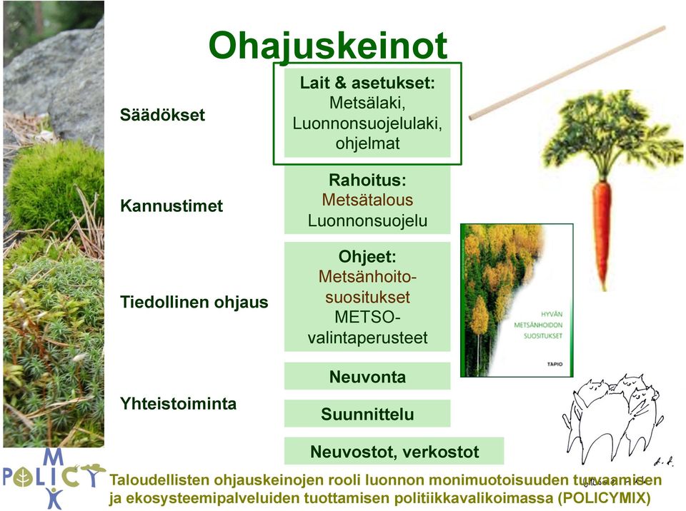 METSOvalintaperusteet Neuvonta Suunnittelu Neuvostot, verkostot Taloudellisten ohjauskeinojen rooli